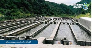 آزمایش آب استخر پرورش ماهی