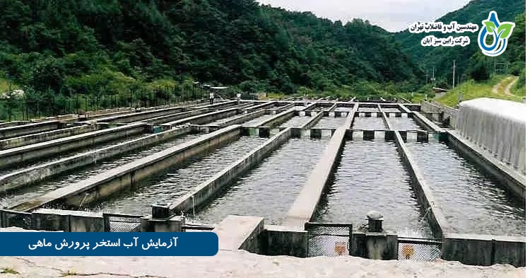 آزمایش آب استخر پرورش ماهی