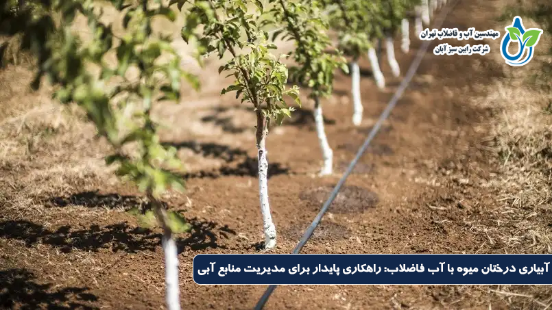 آبیاری درختان میوه با آب فاضلاب: راهکاری پایدار برای مدیریت منابع آبی
