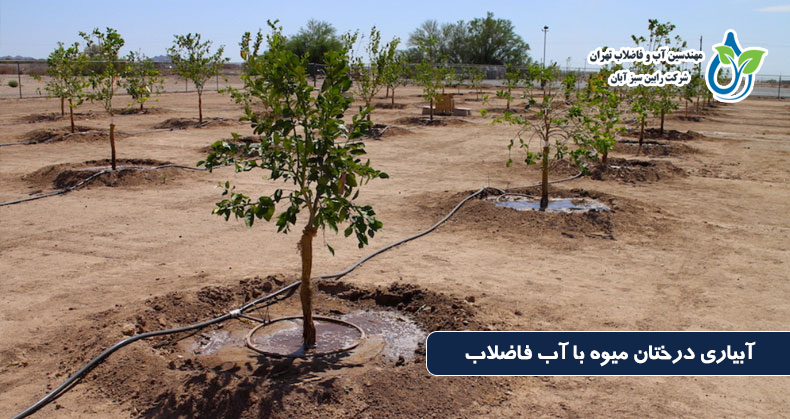 آبیاری درختان میوه با آب فاضلاب تصفیه شده | مزایا، چالش‌ها و نکات فنی